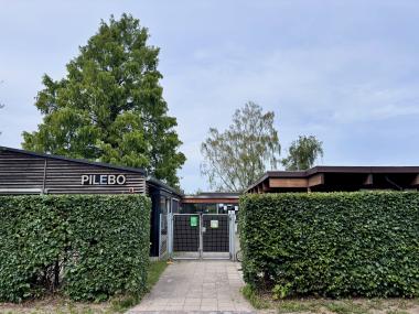 Pilebo